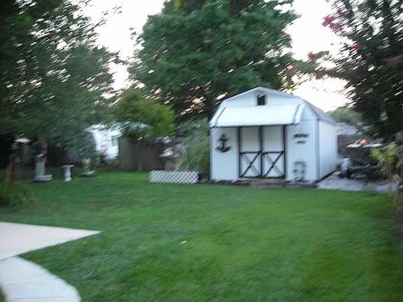 Back Yard has shed w/electric and fruit trees