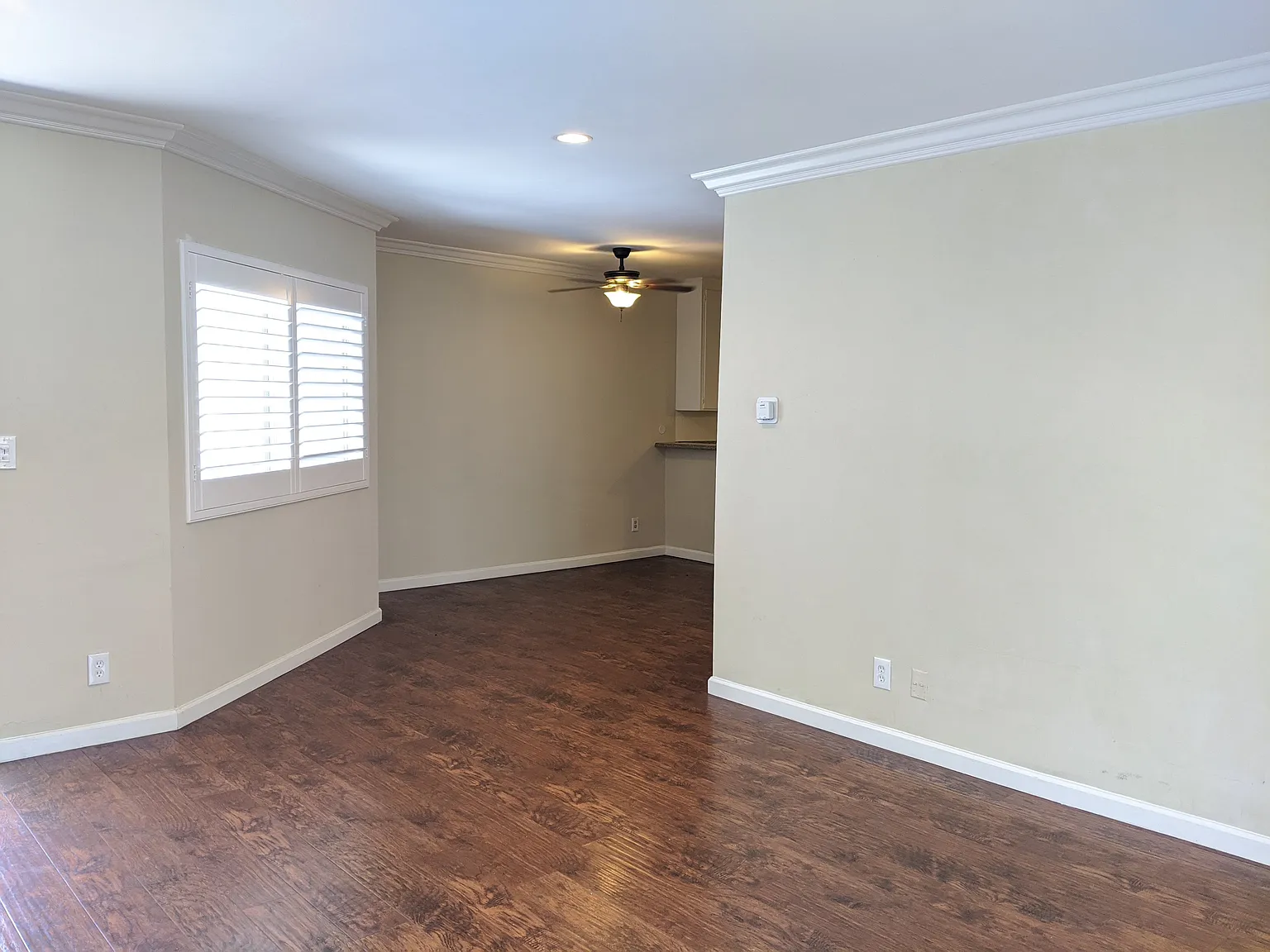 Camelia apartments — Photo 4