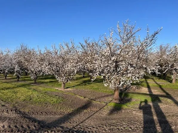 17766 S Jack Tone Rd, Acampo, CA 95220