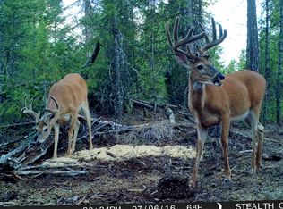 Williams Lake Rd, Evans, WA 99126