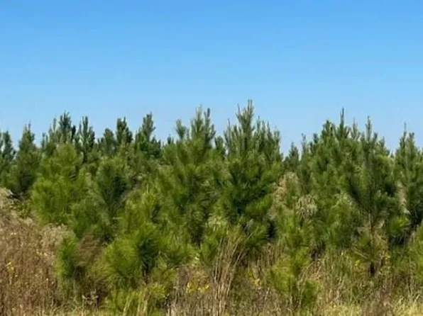 0 N Double Run St #159, Rebecca, GA 31783