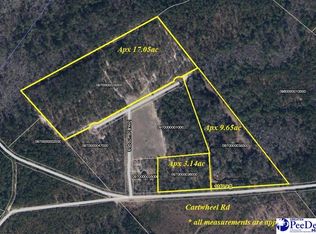 Tbd Cartwheel Rd, Mullins, SC 29574