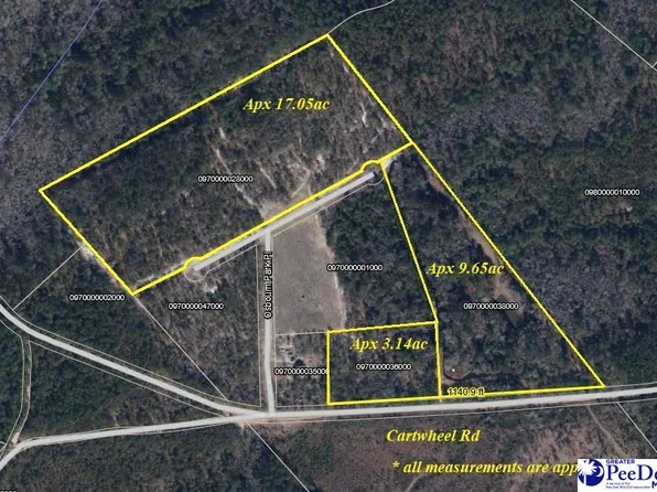 Tbd Cartwheel Rd, Mullins, SC 29574