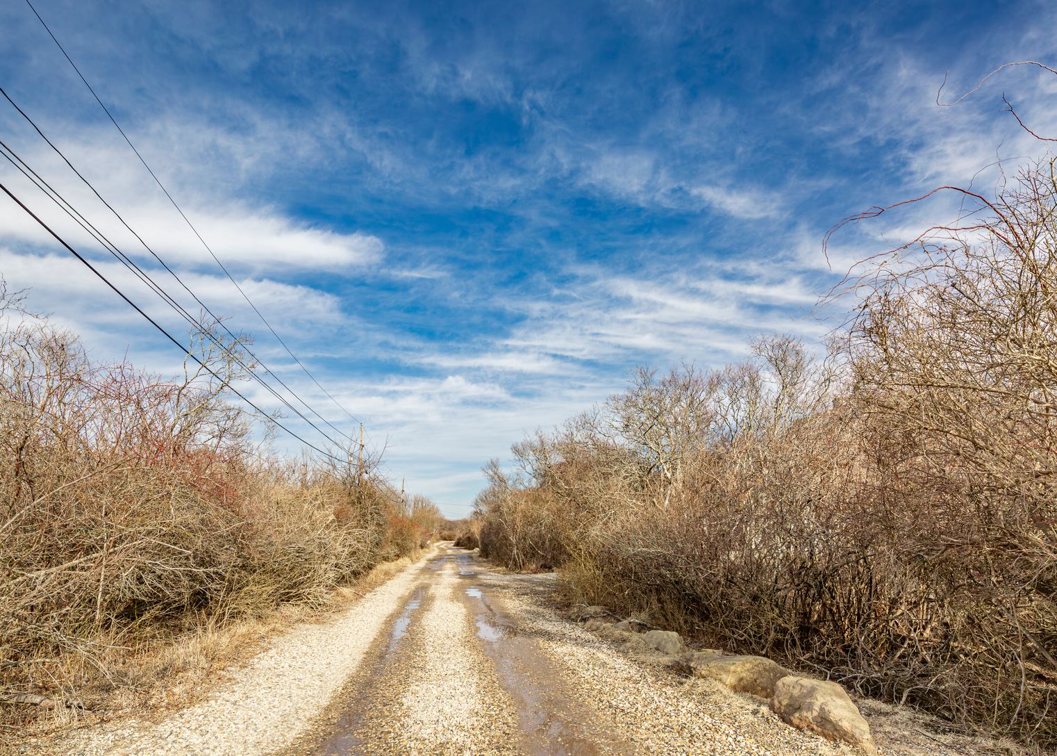  Miller Avenue 