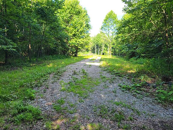 2nd image of 1020 Dewey Extension Rd