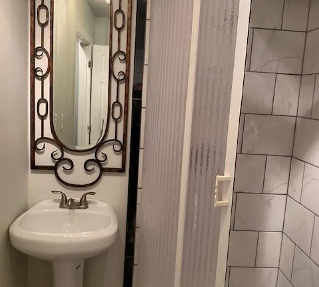 Lower level bathroom