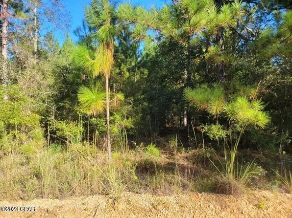 0 Creek Run Rd, Vernon, FL 32462