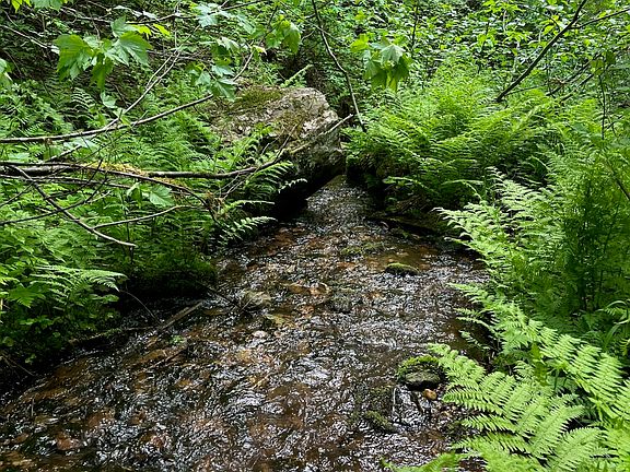 4th image of 1531 Upriver View Dr