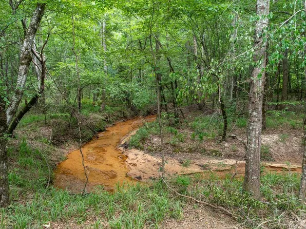 3 Comers Pond Rd, Pittsview, AL 36871