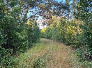 0 Off Young Mans Rd, Townsend, GA 31331