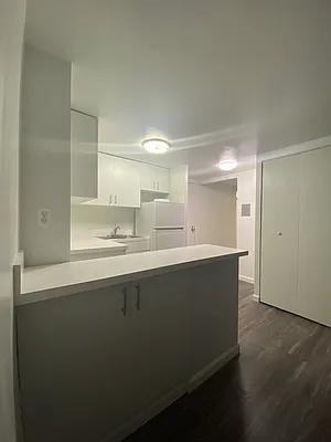 Rented by Voro NYC | media 3