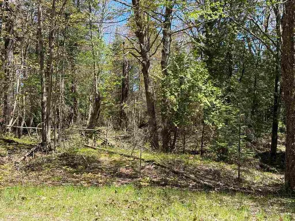 Island Woods Road Lots 412 #413-447, Beaver Island, MI 49782