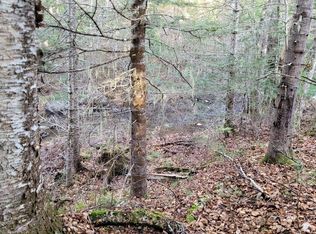 Lot 11 Fox Run, Mariaville, ME 04605