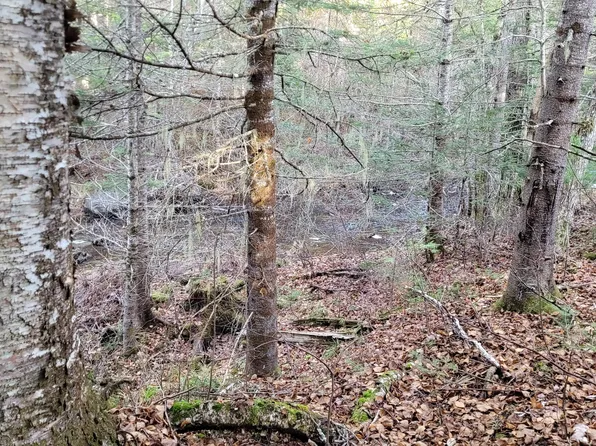 Lot 11 Fox Run, Mariaville, ME 04605