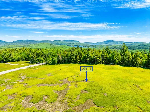 MAP13LOT11 Martins Ridge Road, Franklin, ME 04634