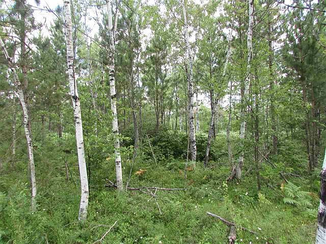 2nd image of 450 Paint River Rd