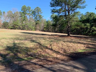 County Road 1521, Avinger, TX, 75630