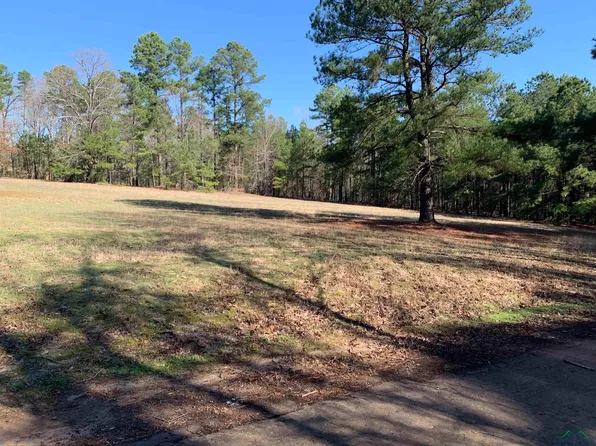 County Road 1521, Avinger, TX 75630