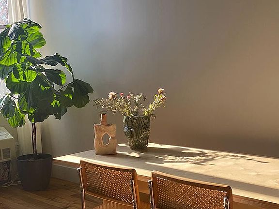 3rd image of 41 Kosciuszko St APT 206