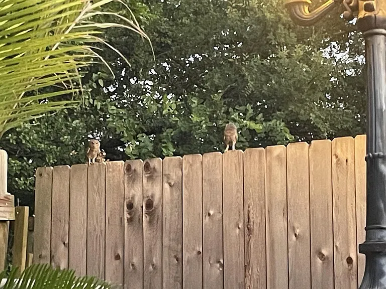 Neighborhood