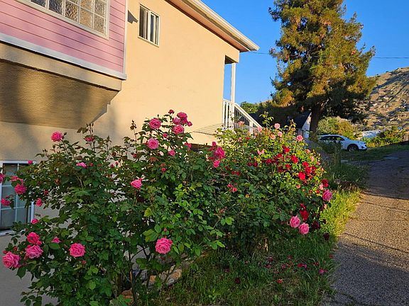 4th image of 35578 Ca-190