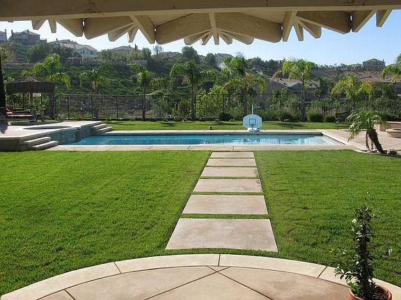 back yard