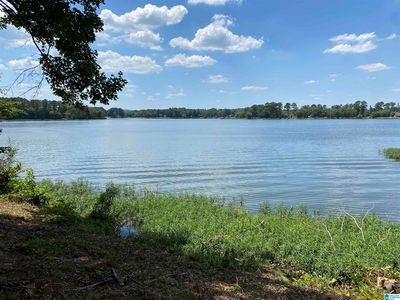 0 Shore Side Ln #137 & 138, Sylacauga, AL, 35151
