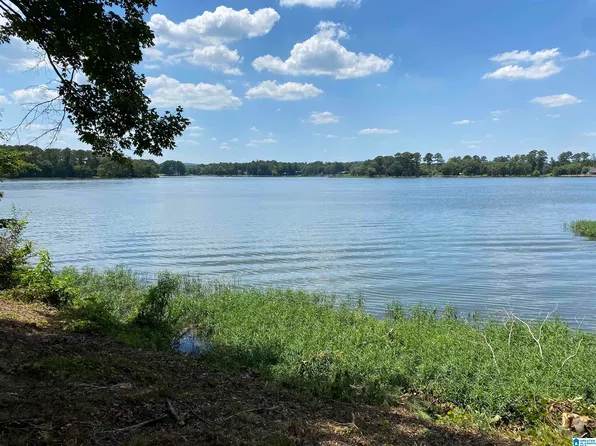 0 Shore Side Ln #137 & 138, Sylacauga, AL 35151