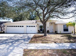 11217 Andy Dr, Riverview, FL 33569