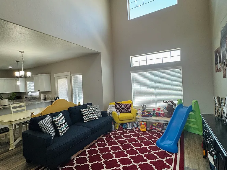Primary Family Room/Living Room