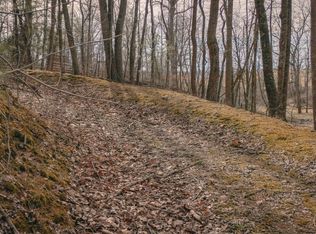 0 Alum Spring Rd, Dublin, VA 24084