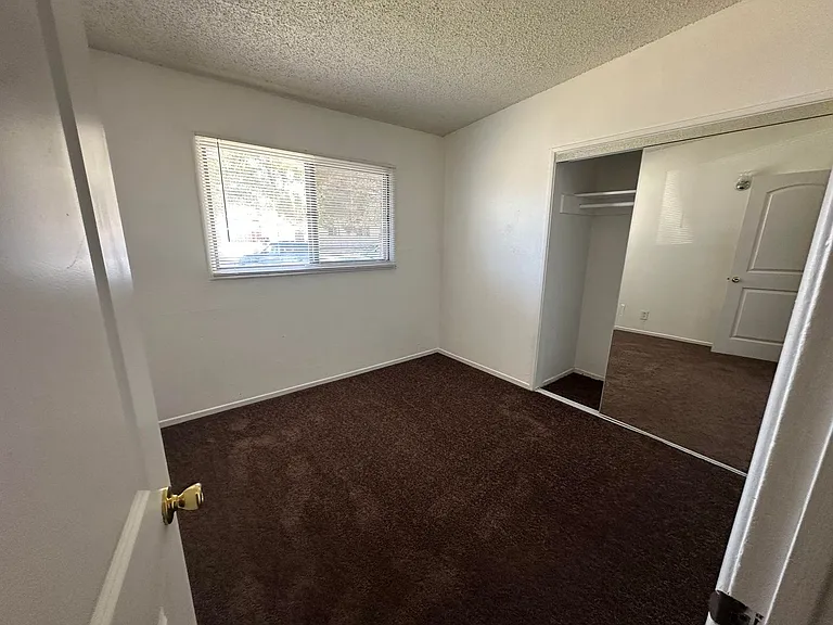 509 Sahara Dr — Photo 11
