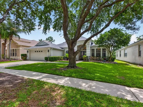 18127 HERON WALK DRIVE, TAMPA, FL 33647