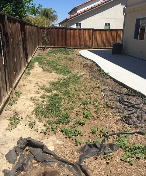 2328 S Fallbrook Dr — Photo 58