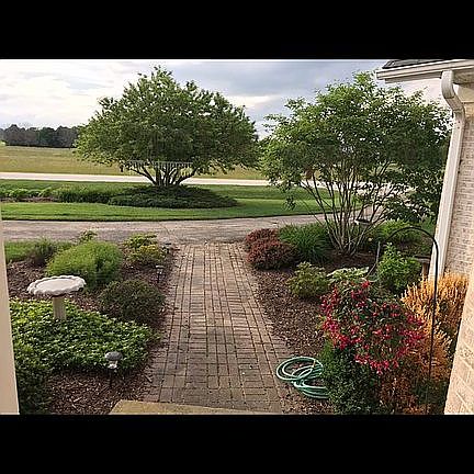 4th image of 1422 Sunflower Dr