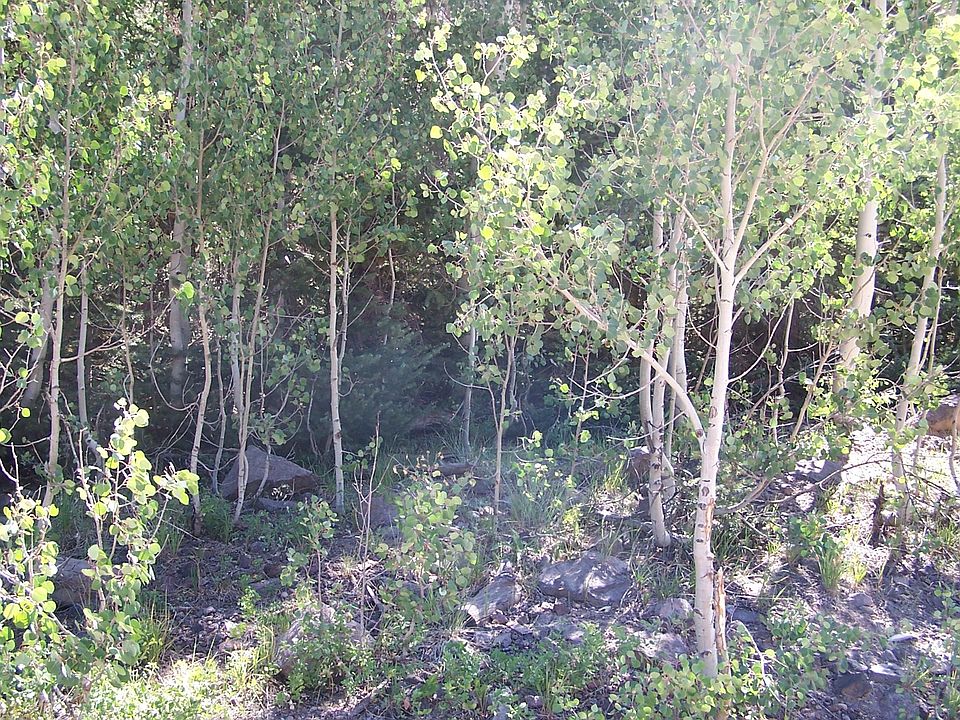 2nd image of 631 N 1275 W
