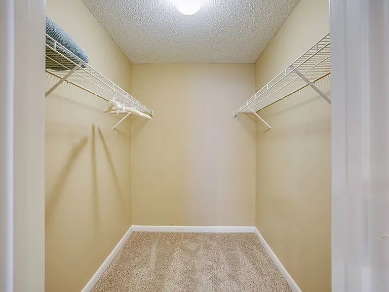 Bliss Renovated Walk-In Closet