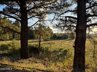184 High Point Dr #C, Mormon Lake, AZ 86038