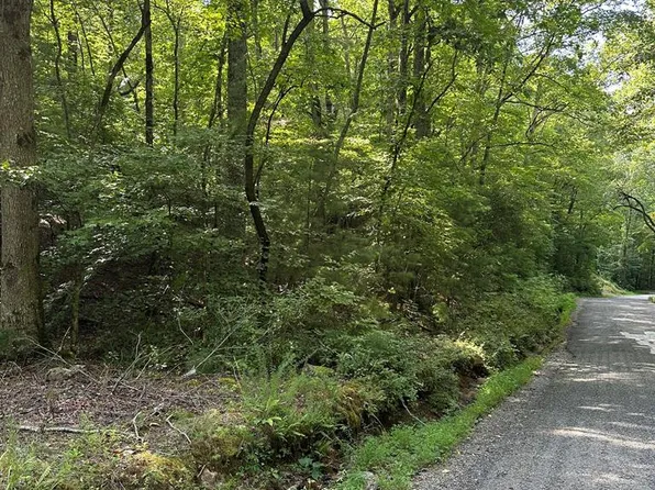 29 Owltown Rd, Ellijay, GA 30536