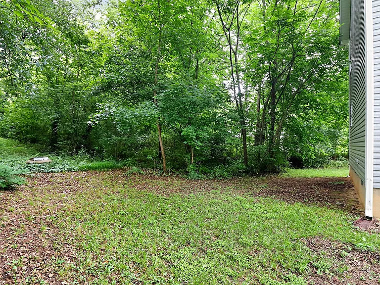 1007 Wilmouth St — Photo 31