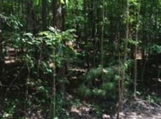 00 Covington Rd, Rockingham, NC 28379