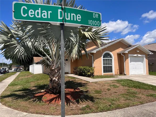 10102 Cedar Dune Dr, Tampa, FL 33624