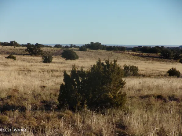 5286 Damron Valley Rd, Snowflake, AZ 85937