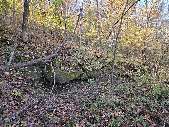 5th image of 0 Darnell Hill Rd