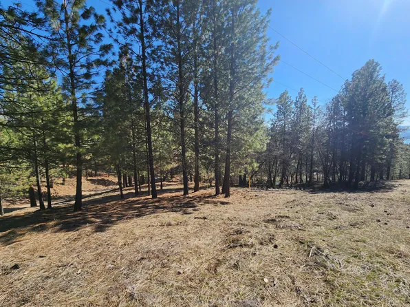 17 Delaware St, Kettle Falls, WA 99141