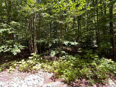 LOT 70 Klaffen Strasse N, Bellaire, MI, 49615
