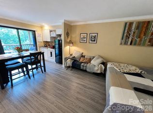 160 Whitney Blvd Unit 35, Lake Lure, NC 28746