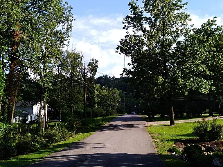 Neighborhood street