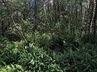 Ginger Rd LOT 496, Pahoa, HI 96778