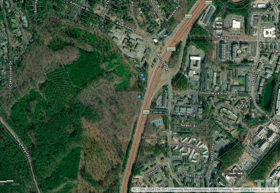 2nd image of 900 Morreene Rd